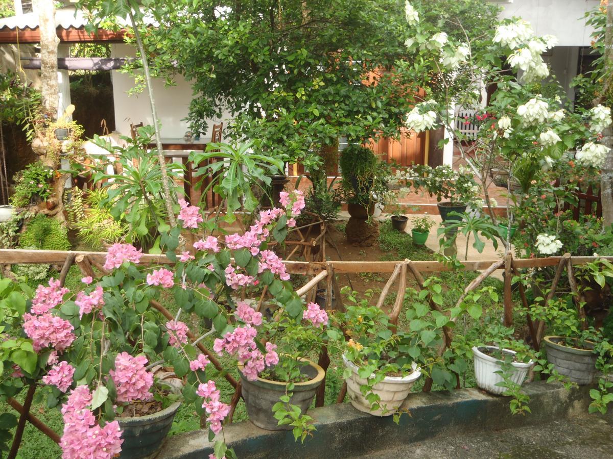 New Jaya Villa 벤토타 외부 사진
